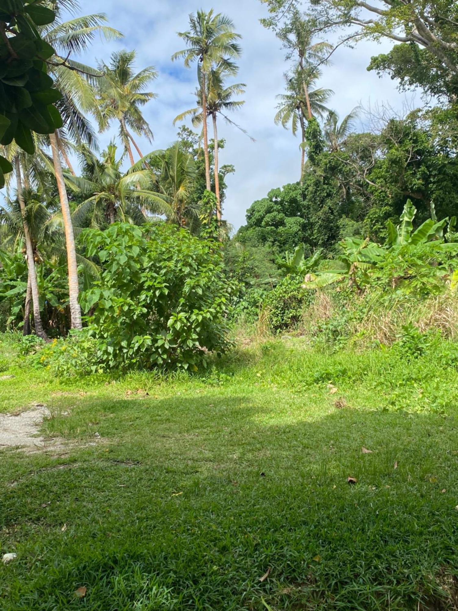Vatupau Beachfront Bungalows Port Vila Exterior foto